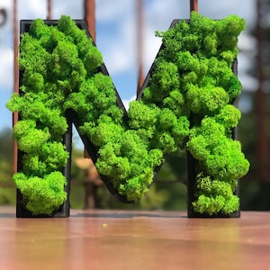 A-Z Letter Frame with Reindeer Moss - Personalized Wall Decor, Natural Home Decoration, Moss Initial, Eco-Friendly Gift