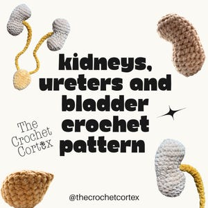 Op de afbeelding: Haakpatroon voor nieren, urineleiders en blaas met de tekst kidneys, ureters and bladder crochet pattern, The Crochet Cortex en @thecrochetcortex. Bevat gehaakte, boonvormige anatomische modellen in beige en lichtgrijs.