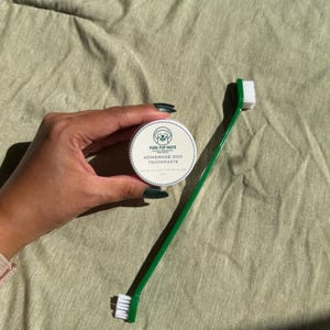 Può includere: Un piccolo contenitore circolare bianco di dentifricio fatto in casa per cani Pure Pup Paste con un'illustrazione di un cane e testo, abbinato a uno spazzolino verde a doppia estremità con setole bianche su entrambi i lati.