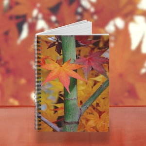 Puede incluir: Cuaderno con espiral con un diseño otoñal. La portada muestra un tallo verde con hojas de arce naranjas y rojas. El fondo es una exhibición borrosa de hojas naranjas y amarillas.