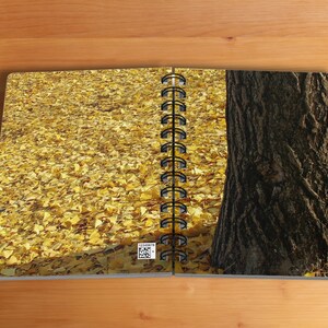 May include: Open notebook with a spiral binding, displaying a vibrant autumn scene. One page shows a ground covered in yellow leaves, the other a tree trunk. The notebook is on a wooden surface.