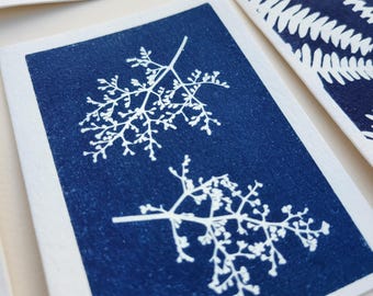 Handmade Cyanotype Note Card – Single Card  – Original Sun-Printed Botanical Cards