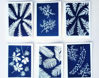 Handmade Cyanotype Note Cards – Set of 3 or 6  – Original Sun-Printed Botanical Cards