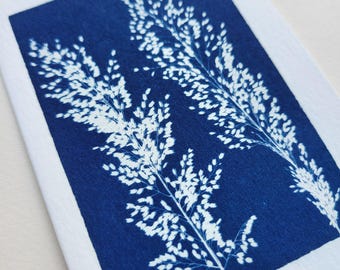 Handmade Cyanotype Note Card – Single Card  – Original Sun-Printed Botanical Cards