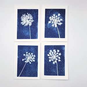 May include: Four botanical prints featuring white floral designs against a deep blue background. Each print showcases a detailed image of a flower, with a long stem. The prints are displayed on a white background.