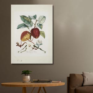 Pomme Dragon (1969) – Salvador Dalí Surreal Canvas Wall Art for Modern Home & Office Decor