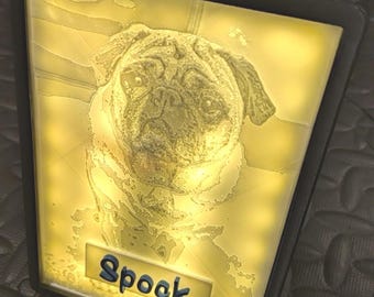 May include: A rectangular, illuminated plaque featuring a pug's portrait. The image is lit from behind, creating a warm glow. The name "Spook" is displayed on a small, rectangular label at the bottom. The frame is black.