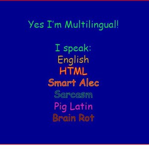 Może przedstawiać: Niebieskie tło z czerwoną obw&oacute;dką zawiera tekst "Yes I'm Multilingual!" w kolorze zielonym. Poniżej wymienione są języki, w tym angielski, HTML, Smart Alec, sarkazm, łacina świńska i Brain Rot, każdy w innym kolorze.
