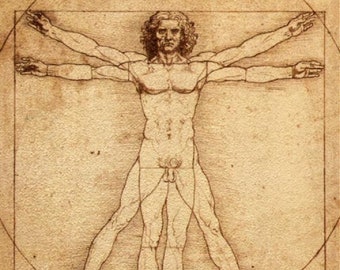 Vitruvian Man - Cross stitch pattern - pdf format - Delivered by email - This is not a kit