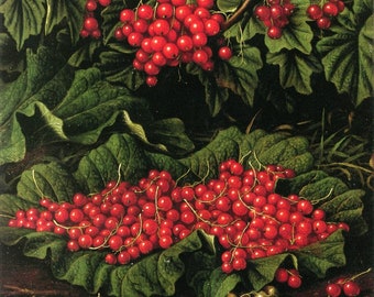 Red Currants - Cross stitch pattern - pdf format - Delivered by email - This is not a kit