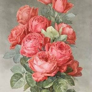 Spray of American Beauty Roses - kruissteekpatroon, pdf-formaat, geleverd per e-mail, Paul de Longpre, kruissteek bloemen, kruissteek rozen, kruissteek rozen