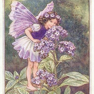 The Heliotrope Fairy - kruissteekpatroon, pdf-formaat, geleverd per e-mail, Cicely Mary Barker, kruissteek feeën, kruissteek bloemen