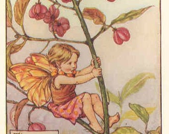Spindleberry - Kreuz Stich-Muster-Pdf-format