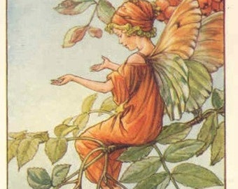 The Mountain Ash Fairy - Cross stitch pattern pdf format