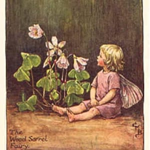 De klaverzuringsfee - kruissteekpatroon, pdf-formaat, geleverd per e-mail, Cicely Mary Barker, kruissteek feeën, kruissteek bloemen