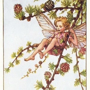 De lariksfee - kruissteekpatroon, pdf-formaat, bezorgd per e-mail, Cicely Mary Barker, kruissteek feeën, kruissteek bloemen