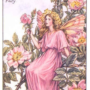 The Wild Rose Fairy - kruissteekpatroon, pdf-formaat, geleverd per e-mail, Cicely Mary Barker, kruissteek bloemen, kruissteek feeën, kruissteek feeën