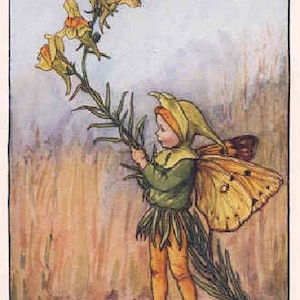 The Toadflax Fairy - Kruissteekpatroon, pdf-formaat, geleverd per e-mail, Cicely Mary Barker, kruissteek bloemen, kruissteek feeën, kruissteek feeën