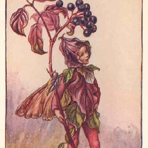 The Dogwood Fairy - Kruissteekpatroon, pdf-formaat, bezorgd per e-mail, Cicely Mary Barker, kruissteek feeën, kruissteek bloemen