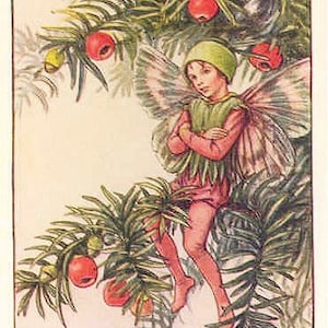 The Yew Fairy - Cross stitch pattern, pdf format, Delivered by email, Cicely Mary Barker, Flowers cross stitch, Fairies cross stitch