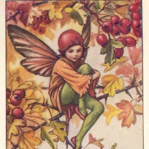 The Hawthorn Fairy - Kruissteekpatroon, pdf-formaat, geleverd per e-mail, Cicely Mary Barker, kruissteek feeën, kruissteek bloemen