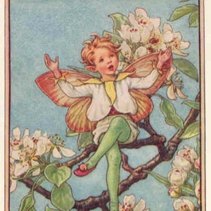 The Pear Blossom Fairy - kruissteekpatroon, pdf-formaat, geleverd per e-mail, Cicely Mary Barker, kruissteek feeën, kruissteek bloemen