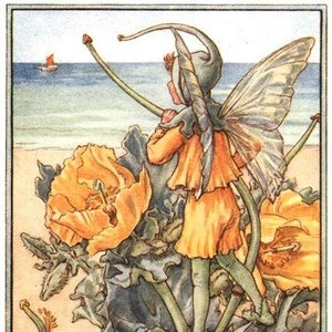 The Horned Poppy Fairy - kruissteekpatroon, pdf-formaat, geleverd per e-mail, Cicely Mary Barker, feeën kruissteek bloemen kruissteek