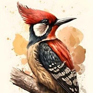 Specht - kruissteekpatroon, pdf-formaat, bezorgd per e-mail, kruissteek vogels, kruissteek vogels, kruissteek dieren