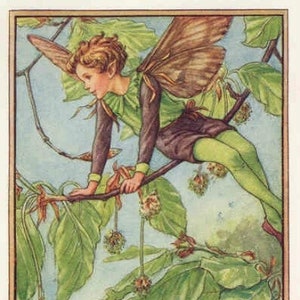 The Beech Tree Fairy - kruissteekpatroon, pdf-formaat, geleverd per e-mail, Cicely Mary Barker, kruissteek bloemen. Kruissteek bloemen