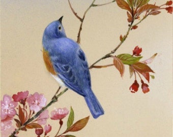 Blue Bird - Cross stitch pattern - pdf format - Delivered by email - This is not a kit