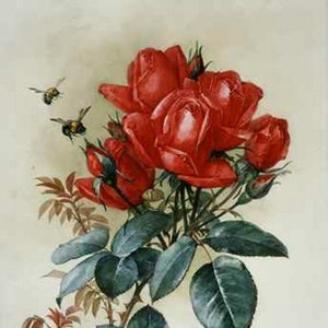 Papa Gontier Roses - Kruissteekpatroon, pdf-formaat, bezorgd per e-mail, Paul de Longpre, kruissteek bloemen, kruissteek rozen, kruissteek rozen