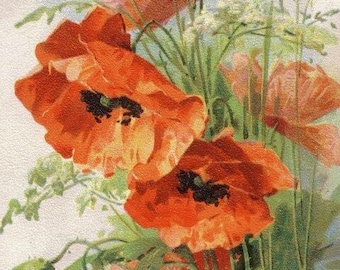 Amapolas - Patrón de punto de cruz, formato pdf, Entregado por correo electrónico, Catherine Klein, Patrón de punto de cruz de flores, Amapolas en punto de cruz