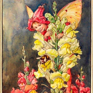 The Snapdragon Fairy - kruissteekpatroon, pdf-formaat, geleverd per e-mail, Cicely Mary Barker, kruissteek feeën, kruissteek bloemen