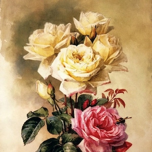 Franse bruidsrozen - kruissteekpatroon, pdf-formaat, bezorgd per e-mail, Paul de Longpre, kruissteek bloemen, kruissteek rozen, kruissteek rozen
