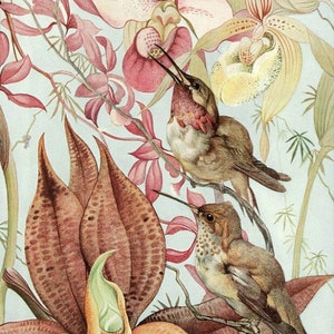 Orchideeën en kolibries - kruissteekpatroon, pdf-formaat, bezorgd per e-mail, kruissteek orchideeën, kruissteek kolibrie