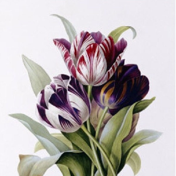 Tulips - Cross stitch pattern - pdf format - Delivered by email - This is not a kit