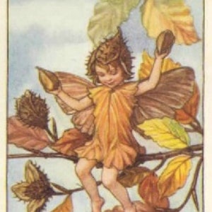 Beukennoot - kruissteekpatroon, pdf-formaat, bezorgd per e-mail, Cicely Mary Barker, kruissteek feeën, kruissteek bloemen