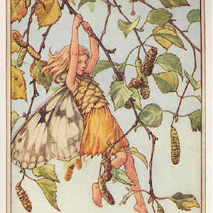 The Silver Birch Fairy - kruissteekpatroon, pdf-formaat, geleverd per e-mail, Cicely Mary Barker, feeën kruissteek bloemen kruissteek