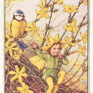 The Winter Jasmine Fairy - kruissteekpatroon, pdf-formaat, geleverd per e-mail Cicely Mary Barker Fairies kruissteek kruissteek bloemen