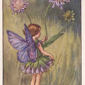 The Scabious Fairy - kruissteekpatroon, pdf-formaat, geleverd per e-mail, Cicely Mary Barker, kruissteek feeën, kruissteek bloemen