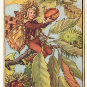 Tamme kastanje - kruissteekpatroon - pdf-formaat - geleverd per e-mail - dit is geen pakket - Cicely Mary Barker - kruissteek feeën