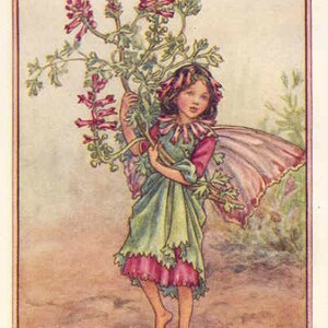 The Fumitory Fairy - Cross stitch pattern pdf format