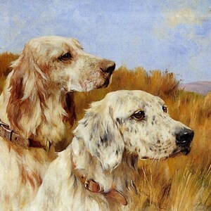 Two Setters - kruissteekpatroon, pdf-formaat, bezorgd per e-mail, Arthur Wardle, kruissteek dieren, kruissteek honden