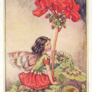 Geranium - kruissteekpatroon, pdf-formaat, bezorgd per e-mail, Cicely Mary Barker, kruissteek feeën, kruissteek bloemen