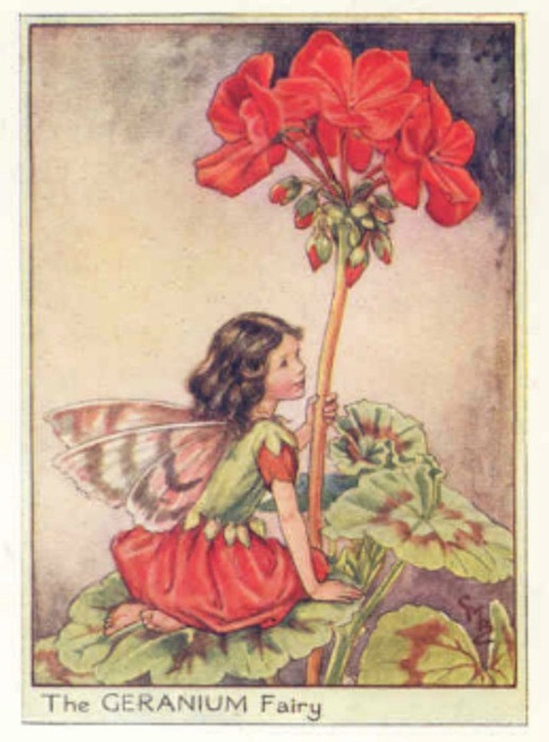 Geranium  Cross stitch pattern pdf format image 1