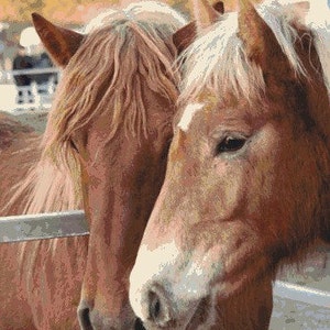 Horses Cross stitch pattern pdf format image 3