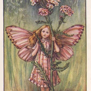 De duizendbladfee - kruissteekpatroon, pdf-formaat, bezorgd per e-mail, Cicely Mary Barker, kruissteek feeën, kruissteek bloemen