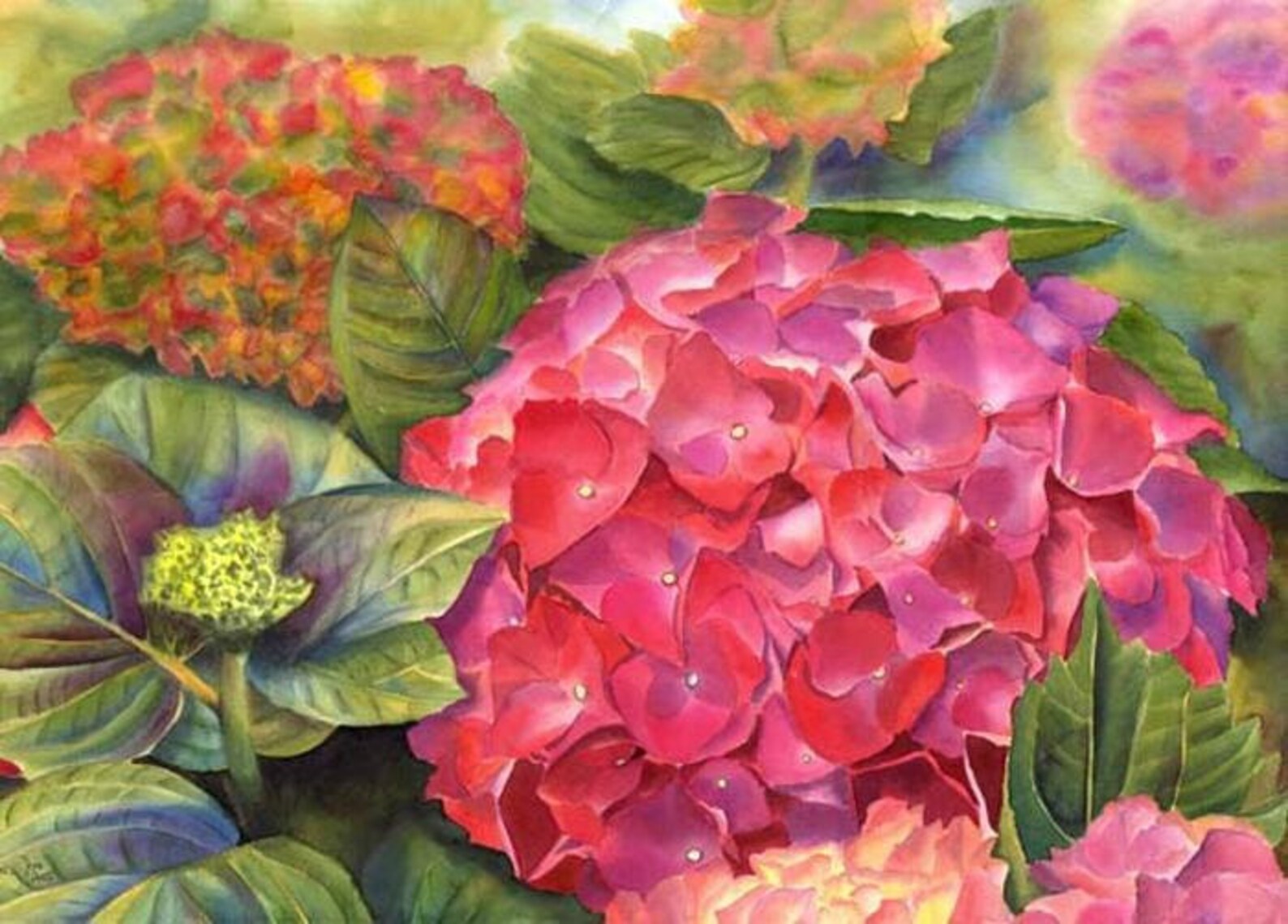 Pink Fine Art