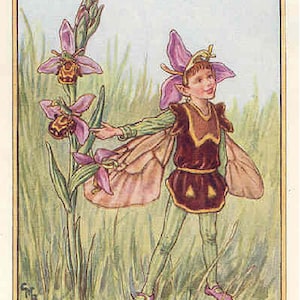 The Bee Orchis Fairy - kruissteekpatroon, pdf-formaat, geleverd per e-mail, Cicely Mary Barker, kruissteek feeën, kruissteek bloemen