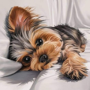 Yorkie: kruissteekpatroon, pdf-formaat, bezorgd per e-mail, kruissteek dieren, kruissteek honden, kruissteek Yorkies